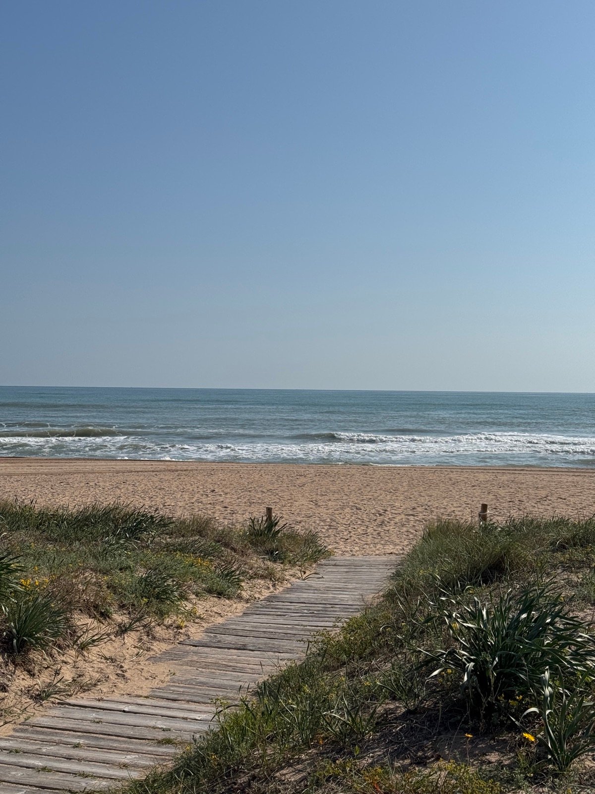 Platja de Sueca · Mediterrani